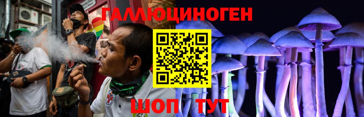 Псилоцибиновые грибы мухоморы  хочу   Анапа  Вход с VPN  Псилоцибиновые грибы Cubensis 
