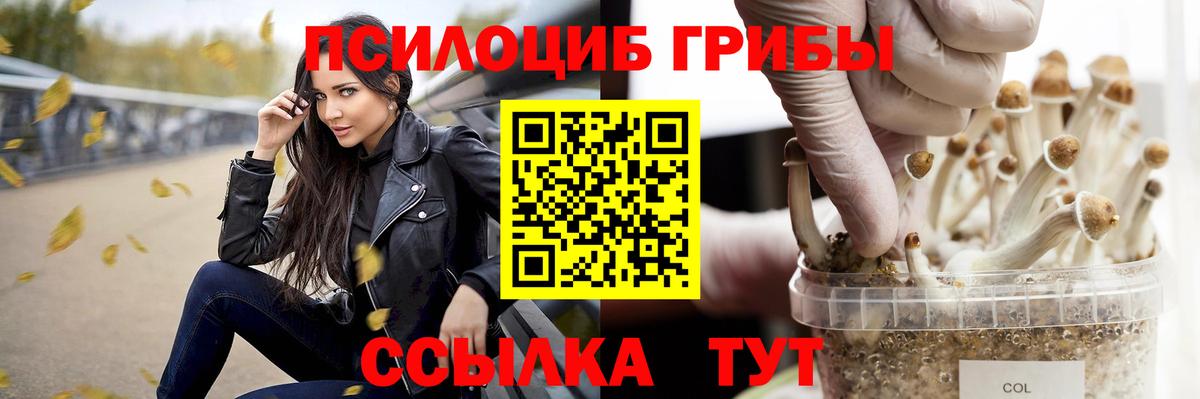 Галлюциногенные грибы Magic Shrooms Анапа